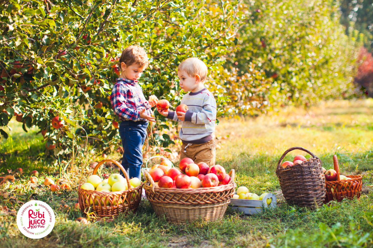 Zdrowe przekąski dla dzieci są bardzo popularnym sposobem na zaspokojenie głodu zarówno dorosłych jak i dzieci.